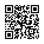 P6KE100A-B QRCode