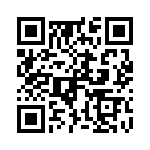 P6KE36A_235 QRCode