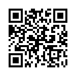 P6KE36CA_235 QRCode