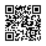 PE-53717 QRCode