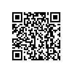 PE0805JRF7W0R033L QRCode