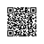 PE1206JRM070R025L QRCode