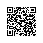 PE2010DKM070R047L QRCode