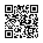 PLT13-9-1-3C95 QRCode