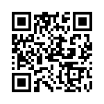 PT03-20-39S QRCode