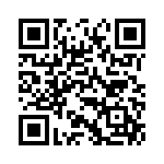 PV3F2B011G-304 QRCode