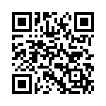 R10-R2P4-V28 QRCode