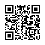 R60II33305030K QRCode