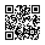 RA12131100 QRCode