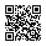 RER45F95R3RCSL QRCode