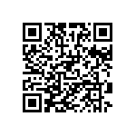 RG1005P-303-B-T1 QRCode