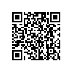 RG1005P-9530-B-T1 QRCode