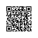 RG1005V-131-B-T1 QRCode