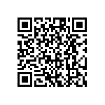 RG1005V-151-B-T1 QRCode