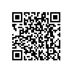 RG1608P-243-B-T5 QRCode