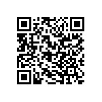 RG2012P-1333-B-T5 QRCode