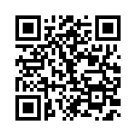 RJ13P101 QRCode