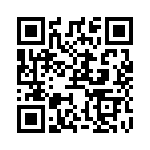 RJ13PR502 QRCode