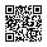 RJHSE538103 QRCode