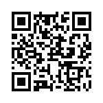 RJHSE5384A4 QRCode