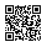 RJHSE538604 QRCode