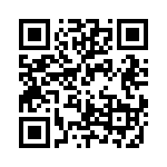 RJHSE5387A1 QRCode