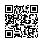 RJHSE538804 QRCode