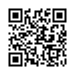 RJHSEJ384 QRCode