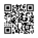 RJSSE736101T QRCode