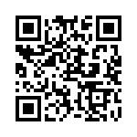 RMCF0402JT300R QRCode