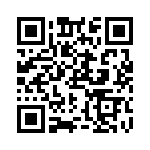 RN55C1004BR36 QRCode