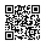 RN55C1041BRSL QRCode