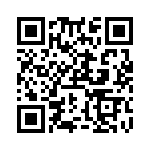 RN55C1742DRSL QRCode