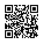 RN55C1912DRSL QRCode