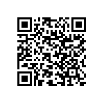 RNC50J6041DSRSL QRCode