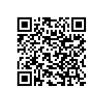 RNC50K3013FSBSL QRCode