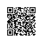 RNC55H1004FSBSL QRCode