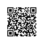 RNC55H1113BSBSL QRCode