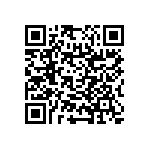 RNC55H1133BMBSL QRCode