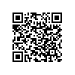 RNC55H1332BSBSL QRCode