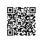 RNC55H1333BSRE6 QRCode