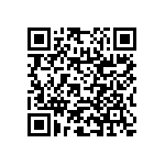 RNC55H1743BSRE6 QRCode