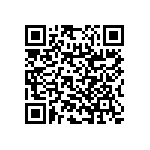 RNC55H1962BSBSL QRCode