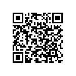 RNC55H2213BSRE6 QRCode