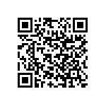 RNC55H2460BRBSL QRCode