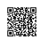 RNC55H3013BSBSL QRCode