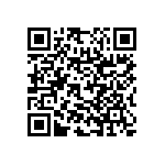 RNC55H3052BSBSL QRCode