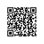 RNC55H3163FRB14 QRCode