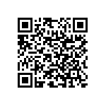 RNC55H3202BSRE6 QRCode