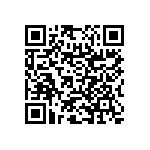 RNC55H3303FSRE6 QRCode